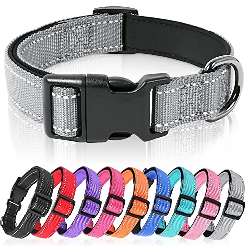 HEELE Hundehalsband, weich gepolstertes Neopren Nylon Hunde Halsband für kleine mittlere große Hunde und Welpen, verstellbare und reflektierende Halsband Hund für Training, Grau, M von HEELE