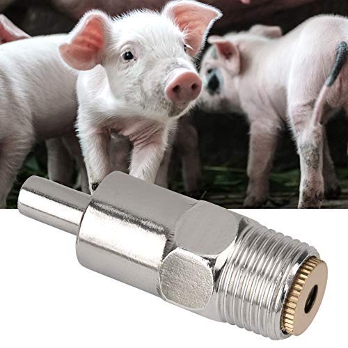 5 STÜCKE Automatische Schwein Nippel Wassertrinker, Edelstahl Kupferkappe Stroh Typ Wasser Feeder Vieh Wassertrinkspender Liefert für Kühe Rinder Pferde Schweine Ferkel Schafe ZiegenTröge & Automaten von HEEPDD