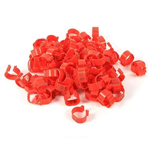 6 Farben 100 Teile/Beutel 16 MM 001-100 Nummerierte Kunststoff Geflügel Hühner Enten Gans Fuß Bande Ringe Clip Geflügel Identifikation Bande(rot) von HEEPDD