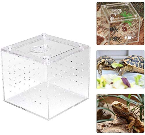 Acrylic Reptile Breeding Box Transparente Aufbewahrung box für Lebendfutter Insekten für Spinnen grillen Schnecken Einsiedlerkrebse Vogel spinnen Geckos 3.9x3.9x3.5inch von HEEPDD