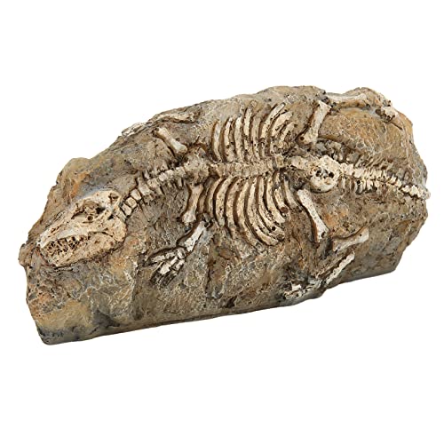 HEEPDD Aquarium-Dinosaurier-Fossil-Ornament, Exquisite Reptilien-Dinosaurier-Fossil-Dekoration aus Kunstharz, Lebendig, Schön, Langlebig, Künstlich für Aquarien für Wasserlandschaften von HEEPDD