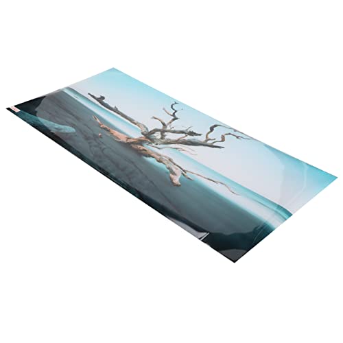 HEEPDD Aquarium-Hintergrunddekoration, Hochtransparentes Aquarium-Hintergrundposter, Attraktiv, Wasserdicht für Aquarien (122 * 50CM) von HEEPDD