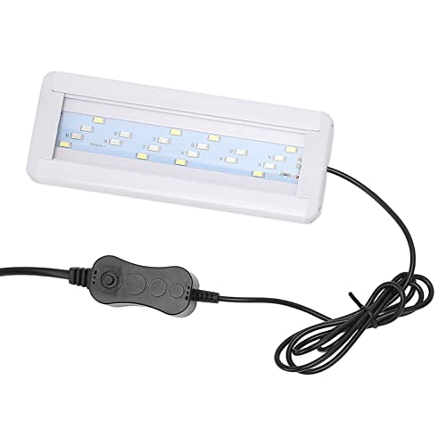 HEEPDD Aquarium-Licht, Lichthalterung, Einziehbar, 3 W, Leichtes LED-Aquariumlicht, 3 Farbmodi für Ornamente (EU-Stecker 220 V) von HEEPDD