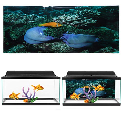 HEEPDD Aquarium Poster, Meeresboden Gelb Fisch Aquarium Hintergrund Poster PVC Kleber Terrarium Papier Aufkleber für Aquarium Aquarium Dekoration(61 * 41cm) von HEEPDD