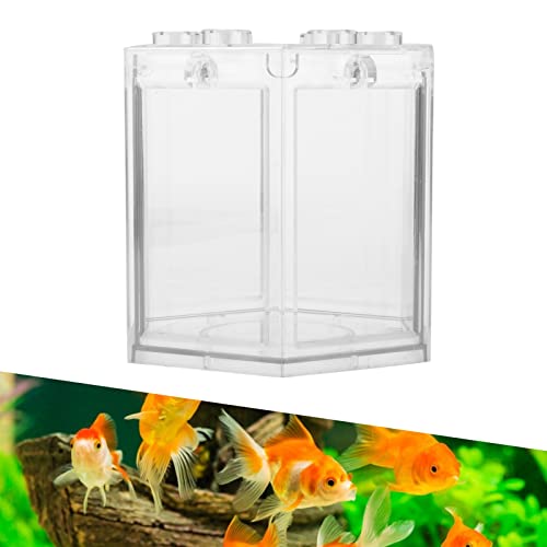 HEEPDD Kleines Aquarium, tragbar, 11,9 x 10,4 x 10,9 cm, Betta-Aquarium-Starter-Set für Fischliebhaber für Zuhause, Büro, Dekoration von HEEPDD