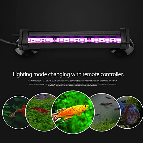 HEEPDD Korallenlicht-LED-Aquarium, Tolles Aquariumlicht für Aquarium für Pflanzen für Aquarium-Unterwasserstreifen (16cm EU-Stecker) von HEEPDD