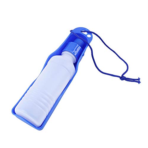 HEEPDD Tragbare Wasserflasche für Hund, automatische Wasserzufuhr Brunnenflasche Waterer Supply Reiseflasche für Hundekatze(250ml-Blau) von HEEPDD