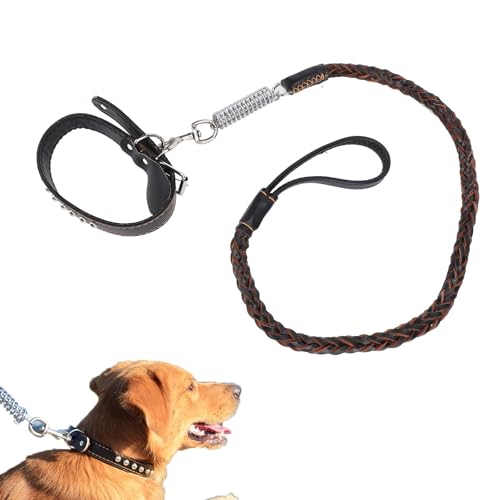 Hundehalsband und Leine-Set, 3,9 Fuß Verstellbares Basishalsband, Geflochtene Haustier-Trainingsleine aus PU-Leder mit Stoßdämpfender Feder für Mittelgroße und Große Hunde von HEEPDD