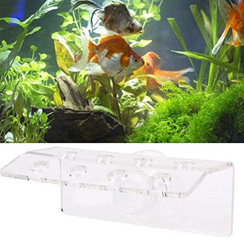 HEEPDD Korallenhalterung, Acryl-Aquarium-Knopfhalter, für Aquarien (8 Löcher) von HEEPDD