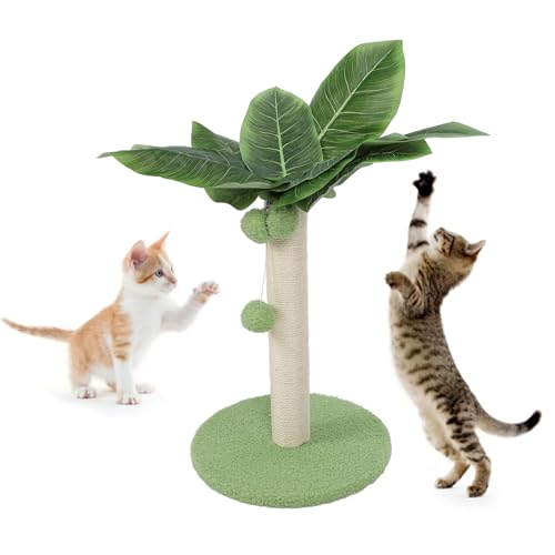 Kratzbaum für Katzen, Kleiner Kratzbaum, Turm-Kratzbaum mit Premium-Sisalseil, Niedlicher Kratzbaum mit Baumeln für Kleine Katzen Im Innenbereich (Green) von HEEPDD