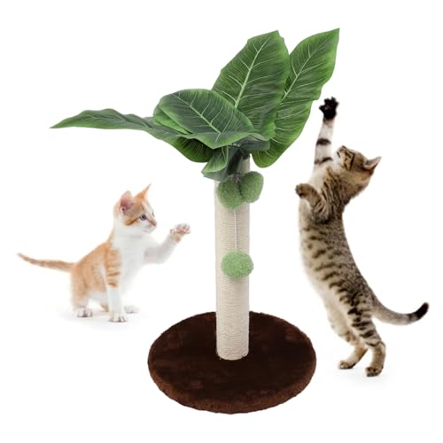 Kratzbaum für Katzen, Kleiner Kratzbaum, Turm-Kratzbaum mit Premium-Sisalseil, Niedlicher Kratzbaum mit Baumeln für Kleine Katzen Im Innenbereich (Kaffee) von HEEPDD