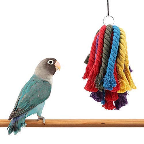 Papagei Spielzeug, Bunte Baumwollseil Vogel Kauen Hängen Spielzeug Käfig Zubehör für Macaw African Grey Kakadu Wellensittiche Parakeet Cockatiel Lovebird von HEEPDD