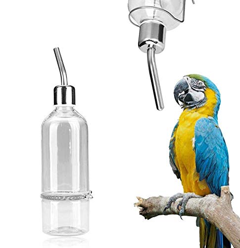 Papageiem Wasser Feeder Hängende Wasserflasche Kein Tropfspender Haustier Vorräte mit Edelstahl Kugel-Nippel für Kleintiere Vogel Hamster Kaninchen Chinchilla Frettchen [L]Aufzuchthilfen von HEEPDD