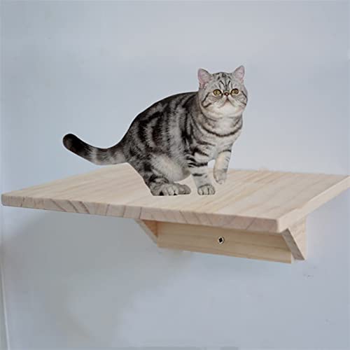 Kratzbaum für große Katzen, Wandrahmen für Katzen, Klettergerüst, solide, Katzenrahmen, Möbel, Verschiedene Katzengrößen (Größe: 20 cm x 40 cm). von HEKDIKTT