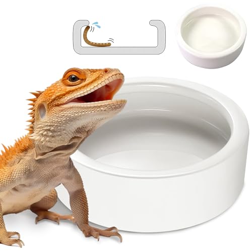 Reptilien-Futter-Wasserschalen – Amphibien-Futterschale, Harz Felswurm Futterspender Terrarium für Eidechsen, Chamäleon, Leopardengecko, Frosch, Bartdrachen, Schlange, Einsiedlerkrabben, Schildkröte Spinne Haustier von HELIME