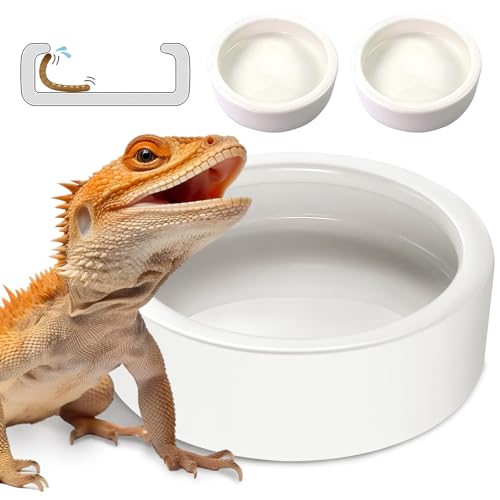 Reptilien-Wassernapf – 2 Stück Wurmschale Eidechse Gecko Keramik Haustiernapf Mehlwürmer Schüssel für Bartagdrachen, Chamäleon, Einsiedler, Krabben, Anti-Escape-Mini-Reptilien-Futterspender, Large von HELIME