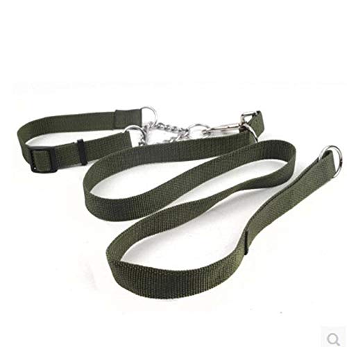 ChinaShoppingMall Nylon Haustier Hundehalsband Leine Set Verstellbar für kleine mittelgroße große Hundeleine Laufhalsbänder für kleine Hunde Leine Haustierprodukte von HELLOYOUNG