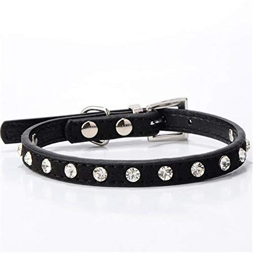 HELLOYOUNG CW015 Diamant Kristall Coole Leder Hundehalsbänder kleine Hunde 7 Farben Kaschmir Rinderhalsbänder für Haustiere Katze Hund führt Katzenhalsband (Schwarz) von HELLOYOUNG