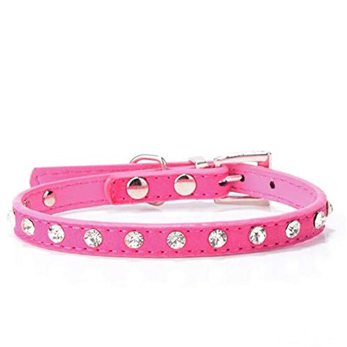 HELLOYOUNG CW015 Diamant Kristall Coole Leder Hundehalsbänder kleine Hunde 7 Farben Kaschmir Viehhalsbänder für Haustiere Katze Hund führt Katzenhalsband (Rose Red) von HELLOYOUNG