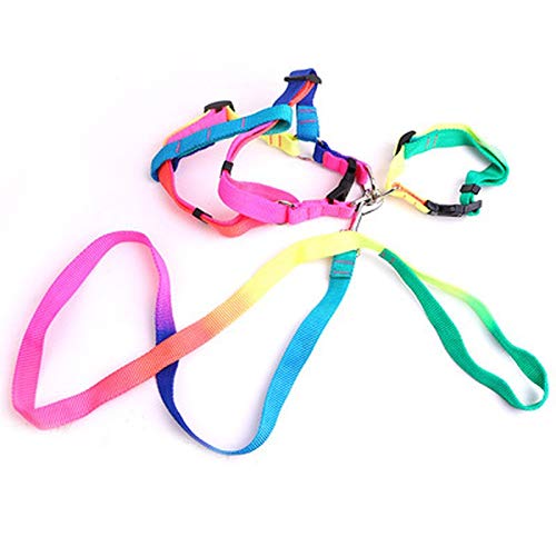 HELLOYOUNG ChinaShoppingMall Bunte Haustierleinen liefern spezielles Leinengurtzeug Nylon verstellbares Hundehalsband Muliti Farbleinen für Hunde Büste 25cm-45cm von HELLOYOUNG