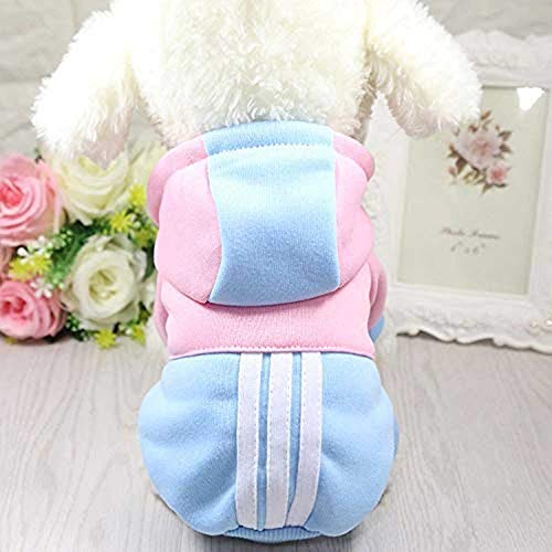 HELLOYOUNG Hundekleidung Winter Soft Hoodie Chihuahua Kleidung Warme Haustier Hundekleidung Winter Hundekleidung für kleine XS Chihuahua Yorkie Mantel (04) von HELLOYOUNG