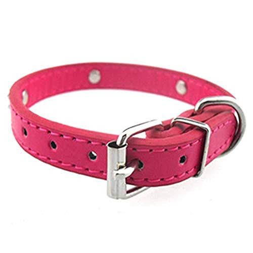 HELLOYOUNG Pet Dog Supplies Alligator PU Leder Knochen Pet Halskette Zubehör Pet Supply Hundehalsband für kleine mittelgroße Hunde 80124 (Rose Red) von HELLOYOUNG