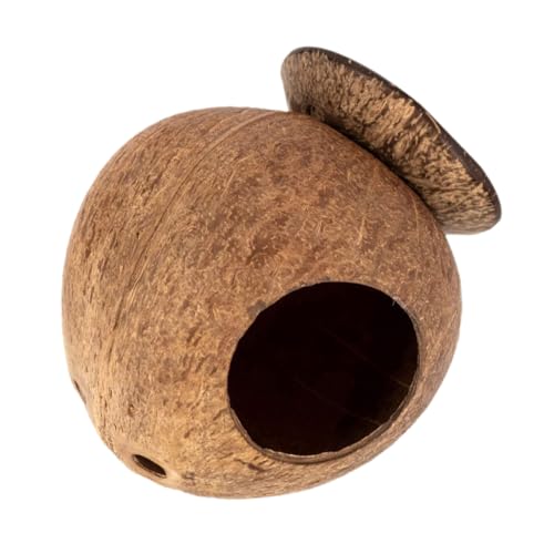 HEMOTON Hamsterversteck Kauspielzeug für Haustiere Gemütliches Hamsternest für Hamster Kaninchen Schlafhaus Wärmendes Hamsterhaus Geeignet für Kleine Tiere Wie Igel und Meerschweinchen HEMOTON Hamsterversteck Kauspielzeug für Haustiere Gemütliches Hamsternest für Hamster Kaninchen Schlafhaus Wärmendes Hamsterhaus Geeignet für Kleine Tiere Wie Igel und Meerschweinchen von HEMOTON