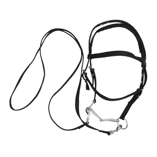 HEMOTON Reitzügel Englische Trensen Für Pferde Pferdehalfter Halfter Pferdehalfter Für Pferde Pferdeseilhalfter Seil Pferdehalfter Pferdestallbedarf Viehseilhalfter Nylon Schwarz HEMOTON Reitzügel Englische Trensen Für Pferde Pferdehalfter Halfter Pferdehalfter Für Pferde Pferdeseilhalfter Seil Pferdehalfter Pferdestallbedarf Viehseilhalfter Nylon Schwarz von HEMOTON