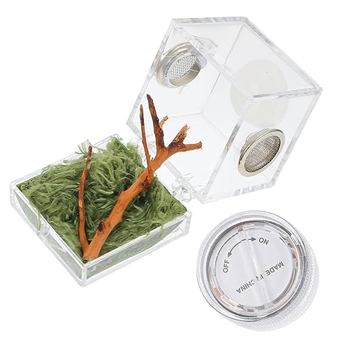 HEMOTON Spinnen Lebensraumbox für Springspinnen Zuchtkoffer mit Lampe Transparentes Terrarium für Kleine Reptilien und Insekten Einfach zu Reinigen für Fütterung 2 Stück HEMOTON Spinnen Lebensraumbox für Springspinnen Zuchtkoffer mit Lampe Transparentes Terrarium für Kleine Reptilien und Insekten Einfach zu Reinigen für Fütterung 2 Stück von HEMOTON