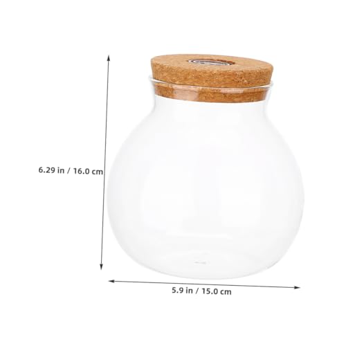 HEMOTON Terrarium mit Korkdeckel LED Beleuchtung Hydroponisches Pflanzgefäß für Desktop Vermehrung Mikrolandschaftliches Ökosystem Vielseitig für Innen und Außendekoration HEMOTON Terrarium mit Korkdeckel LED Beleuchtung Hydroponisches Pflanzgefäß für Desktop Vermehrung Mikrolandschaftliches Ökosystem Vielseitig für Innen und Außendekoration von HEMOTON