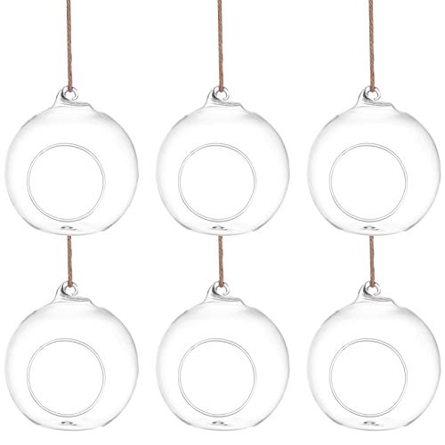 HEMOTON Tischdeckenklammern 6Pcs H? Pflanzer Terrarium Vase Halter für Sukkulenten Air Farne Kerzen, Blase Anlage Halter, zu Hause Dekorationen Idee (Nicht Enthalten) Home Decor Home Decor von HEMOTON