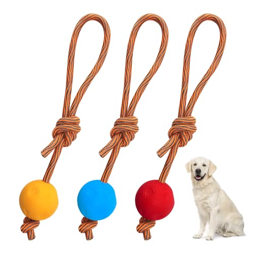 HENGBIRD 3 Stück Hundeball mit Schnur, 5/31 cm Ball mit Schnur Hundespielzeug Ball mit Seil Wurfball für Hunde Spielball Wasserspielzeug Hund Elastischer Wurfball für Große, Kleine Hunde von HENGBIRD