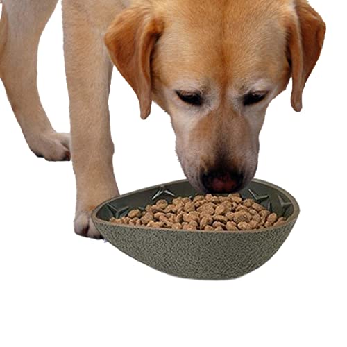 Langsamer Futternapf für Hunde - Kreative Fruchtform Langsamer Futternapf für Hunde | Pet Slower Food Feeding Dishes Interaktive Bloat Stop Trainingsplatte Verhindert Ersticken Hepvet von Aeihevo