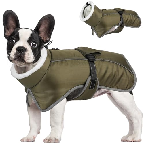 HEPYLAIFU hundemantel Winter Wintermäntel kleine Hunde warme wasserdichte Haustierjacke Chihuahua Bulldogge Teddy Corgi Dackel (Color : Green, Size : 2XL) von HEPYLAIFU