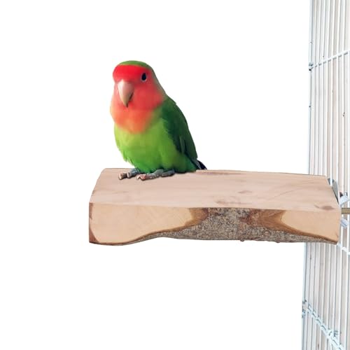 Papageien Sitzstange für Käfig, Papageien Natürliches Holz Stand Plattform Sitzstange Vogel Stehend Spielplatz Spielzeug für Haustiere Vögel Sittich Nymphensittiche Wellensittiche von HERCHR