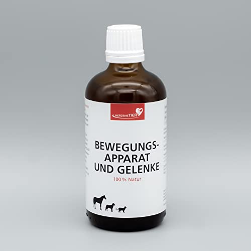 HERZENSTIER Bewegungsapparat & Gelenke 100 ml von HERZENSTIER