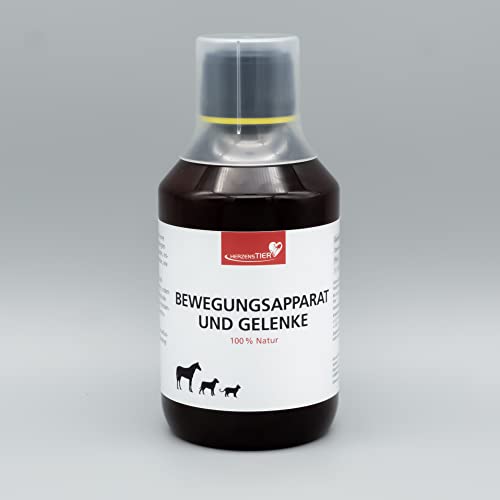 HERZENSTIER Bewegungsapparat & Gelenke 250 ml von HERZENSTIER