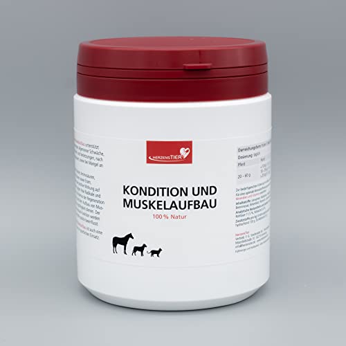 HERZENSTIER Kondition und Muskelaufbau 250 g von HERZENSTIER