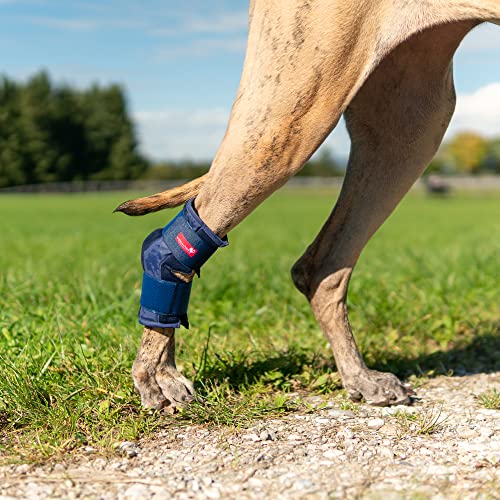 HERZENSTIER Sprunggelenkbandage Schaumstoff Gr. L von HERZENSTIER