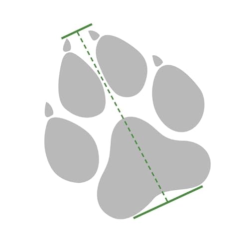 Universal-Pfotenschutz - Hoch Gr. S (Pfotenbreite bis 5,5cm) von HERZENSTIER