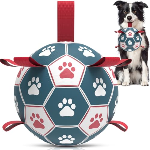 HETOO Hund Ball zerstörungsfrei Hund Fußball Spielzeug Ball, Hund Fußball mit Griff, Hund Fußball, Wasser Spielzeug Hund, Hund Geburtstag Geschenk, Medium/Large Hund Ball mit Pumpe (6 Zoll) von HETOO