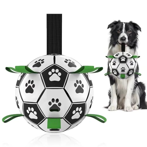 HETOO HundeBälle unzerstörbar Hundespielzeug Ball, Hundefußball mit Griff, Fußball für Hunde, Wasserspielzeug Hunde, Hunde Geburtstagsgeschenke, Hundebälle mit Pumpe für mittelgroße/große Hunde 8 Zoll von HETOO