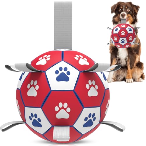 HETOO Hundefußball, interaktives Hundespielzeug für Hunde, Wasserspielzeug, langlebige Hundebälle für kleine und mittelgroße Hunde, Rot und Weiß (20,3 cm) von HETOO