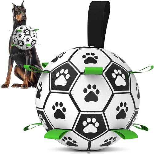 HETOO Hundespielzeug, Hundeball mit Nylon Seil, Premium Hundefußball Spielzeug für Mittlere Große Hunde Indoor & Outdoor Unterhaltung (10 Zoll) von HETOO