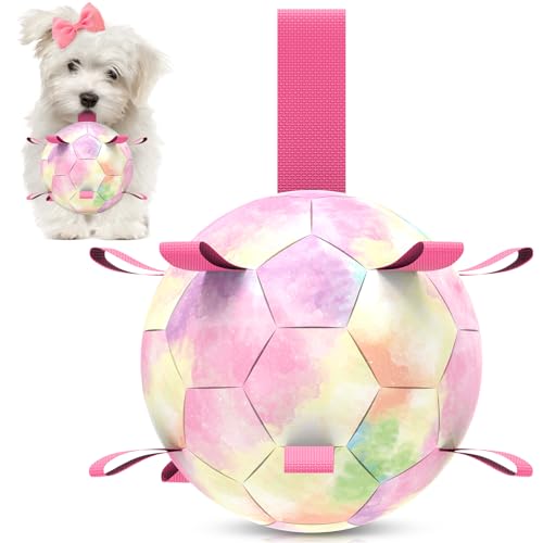 HETOO Hundespielzeug, interaktives Hunde-Fußballspielzeug mit Haltegriffen, langlebige Hundebälle für kleine mittelgroße Rassen, Wasserspielzeug für drinnen und draußen, Geschenk für Hunde, 15,2 cm, von HETOO