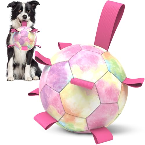 HETOO Hundespielzeug, Fußball mit Riemen, Welpenbälle für kleine und mittelgroße Hunde, Hundespielzeug, Welpe, Geburtstagsgeschenk, Wasserspielzeug für Hunde, Regenbogen, 15,2 cm von HETOO