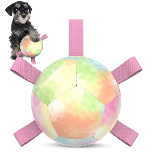 HETOO Hundeball Hundespielzeug Ball mit Griff für Hund Interaktives Schleppen von Krieg Wasser Hundebälle Spielzeug Geburtstagsgeschenk für Kleine/Mittel Hunde (5 Zoll Rosa Farbverlauf) von HETOO