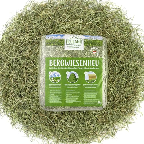 HEULAND® Premium Heu (1 x 4 Kg) Frisches Bergwiesenheu für Kleintiere Kaninchen Kräuter Hamster Streu Meerschweinchen Futter für Nager Chinchilla Zwergkaninchen Hasen Zwerghamster (4 Kilo) von HEULAND