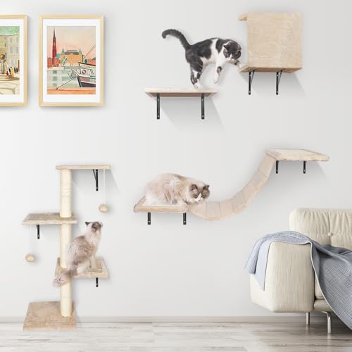 Hevol Kletterwand Katzen Set, 10-Teiliges Kletterwand für Katzen bis 10 kg, Stabiler Katzenbaum Hängematte Katzenmöbel Wand Katzenbrücke Kratzbaum für Katze Schlafen Spielen Lounging(Grau) von HEVOL