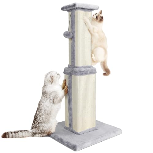 HEVOL Kratzbaum, 80cm Hoch Kratzsäule, Katzenbaum, Kratzstamm für Mittelgroße und Klein Katzen, Natürlichem Sisalstamm Katzenkratzbaum mit Interaktiven Plüschball, Beige von HEVOL